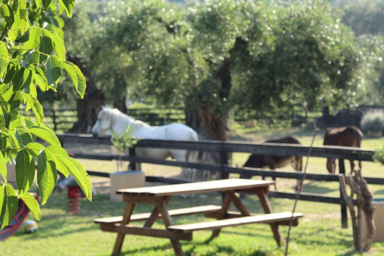 Villa Honigtal Farmland à Agios Georgios Pagon Extérieur photo