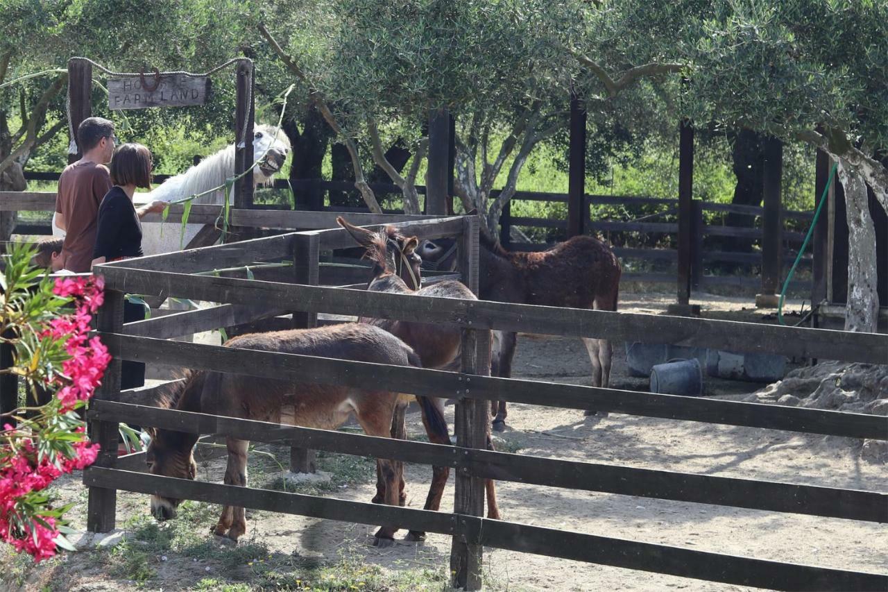 Villa Honigtal Farmland à Agios Georgios Pagon Extérieur photo